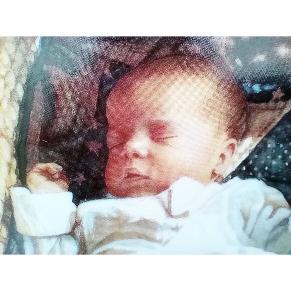 Steve Hanks "The New Arrival" Collector Plate 1994 Hadley House Limited Edition - Picture 5 of 14